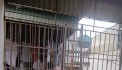 Cho thuê nhà ở nhóm, hộ gia đìnhngõ Bùi Xương Trạch, 34m2-3 tầng- 3 NGỦ - Giá 8 triệu - ở ngay
